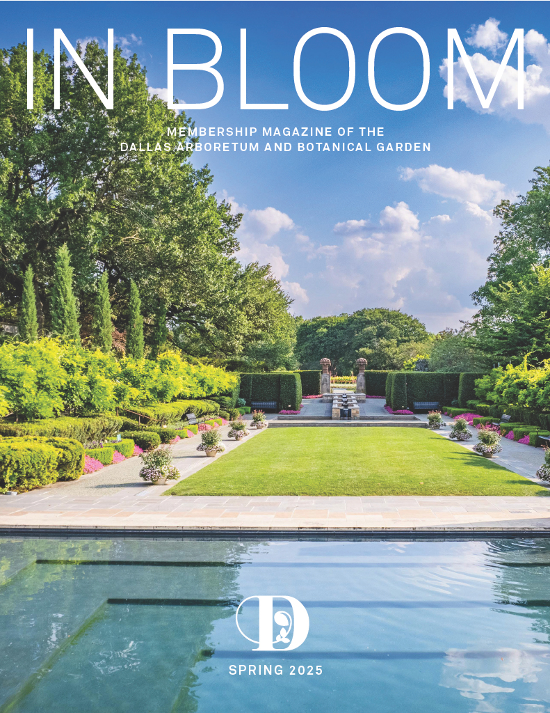 InBloom Spring 2025 cover