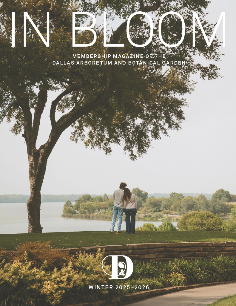 InBloom Winter 2025-2026 cover