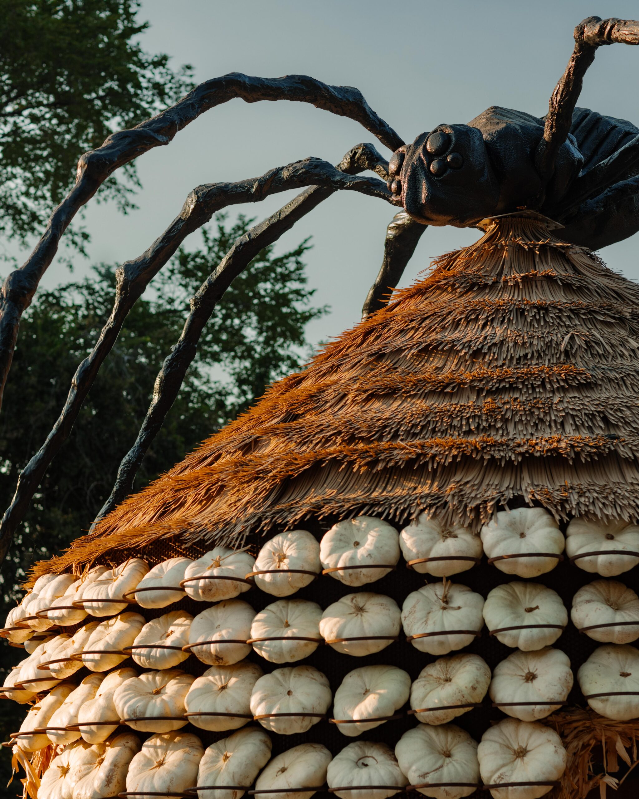 A giant black spider sculpture perched atop a thatched hut covered in white pumpkins